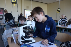 Ein Schüler  mikroskopiert.
